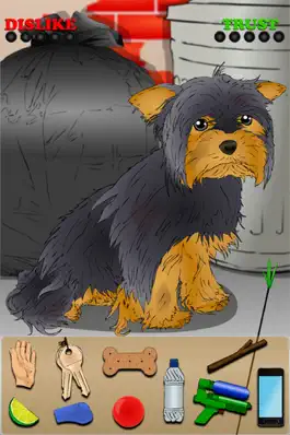 Game screenshot Poor Little Dog: Yorkie mod apk