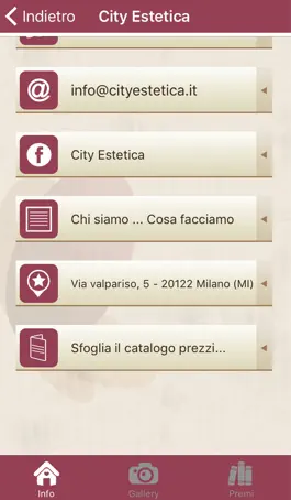 Game screenshot City Estetica hack