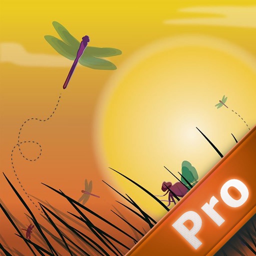 A Dragon Fly Traveling In The Evening PRO Icon