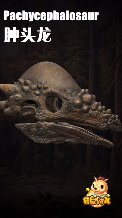 肿头龙-袋鼠跳跳