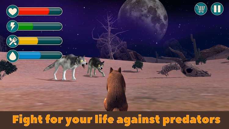Wild Dingo Dog Survival Simulator 3D screenshot-3