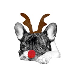 From Frank Holiday Stickers