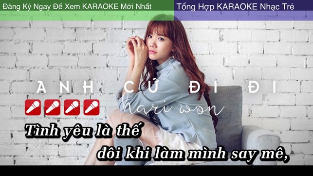 Hat Karaoke Viet Nam - Pro