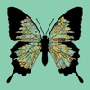 rgbDesigner Silhouette icon