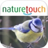 Identify 500 birds, naturetouch icon