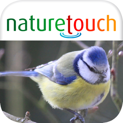 Vögel bestimmen, naturetouch