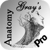 Gray’s Anatomy HD for Students apk