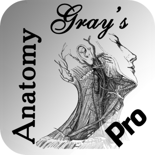 Gray’s Anatomy HD for Students