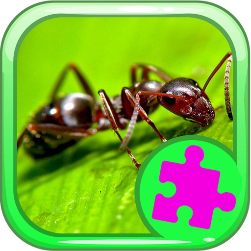 Toddler Games And Jigsaw Puzzle Ants Version Icon