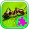 Toddler Games And Jigsaw Puzzle Ants Version