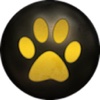 Follow Animals for iPad