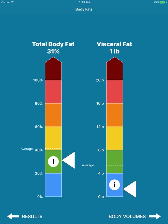 BVI Pro - 3D Body Volume & Fat Measurement Tool
