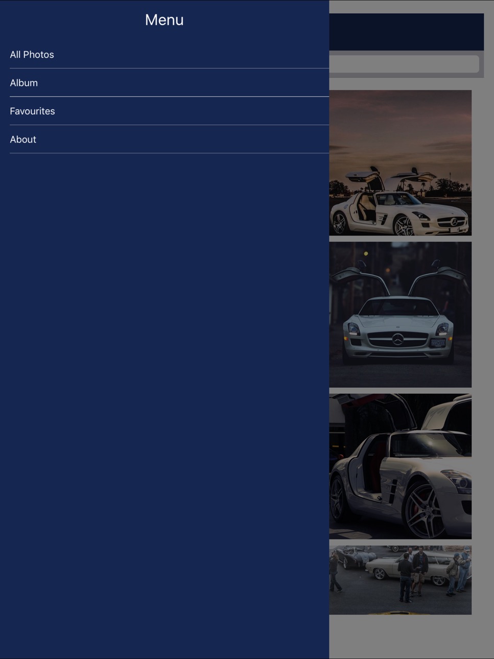 iPad screenshot