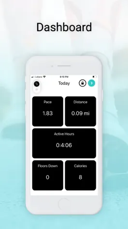 Game screenshot Pedometer Go apk