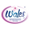 Wales Shop icon