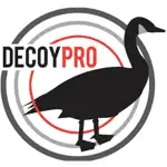 Goose Hunting Diagrams - DecoyPro App Positive Reviews