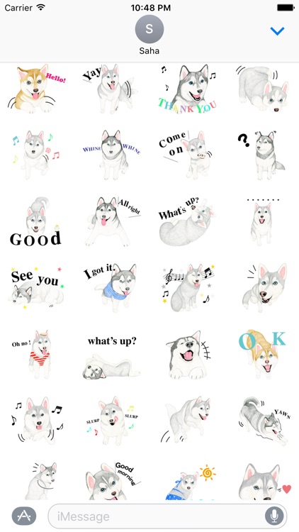Lovely Husky Dog Stickers