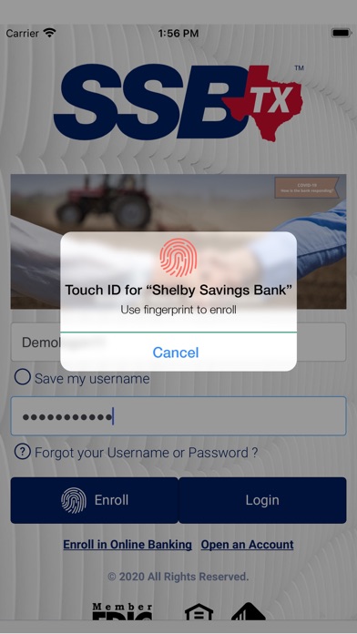 Shelby Savings Screenshot