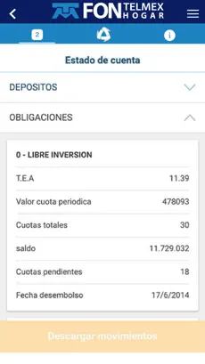 Captura de Pantalla 3 Fontelmex Hogar iphone