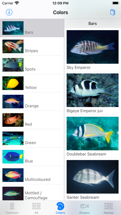 Red Sea Fish ID Screenshot