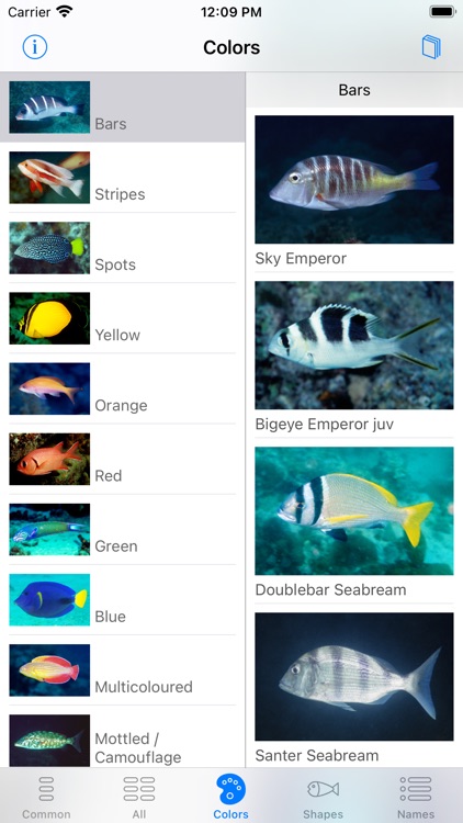 Red Sea Fish ID screenshot-5