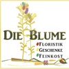 Die Blume - Creative Werkstatt