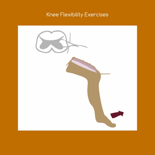 Knee flexibility exercises icon