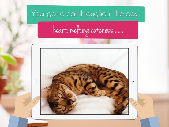 Purr - Adorable Cat Simulator and Virtual Pet iPad screenshot