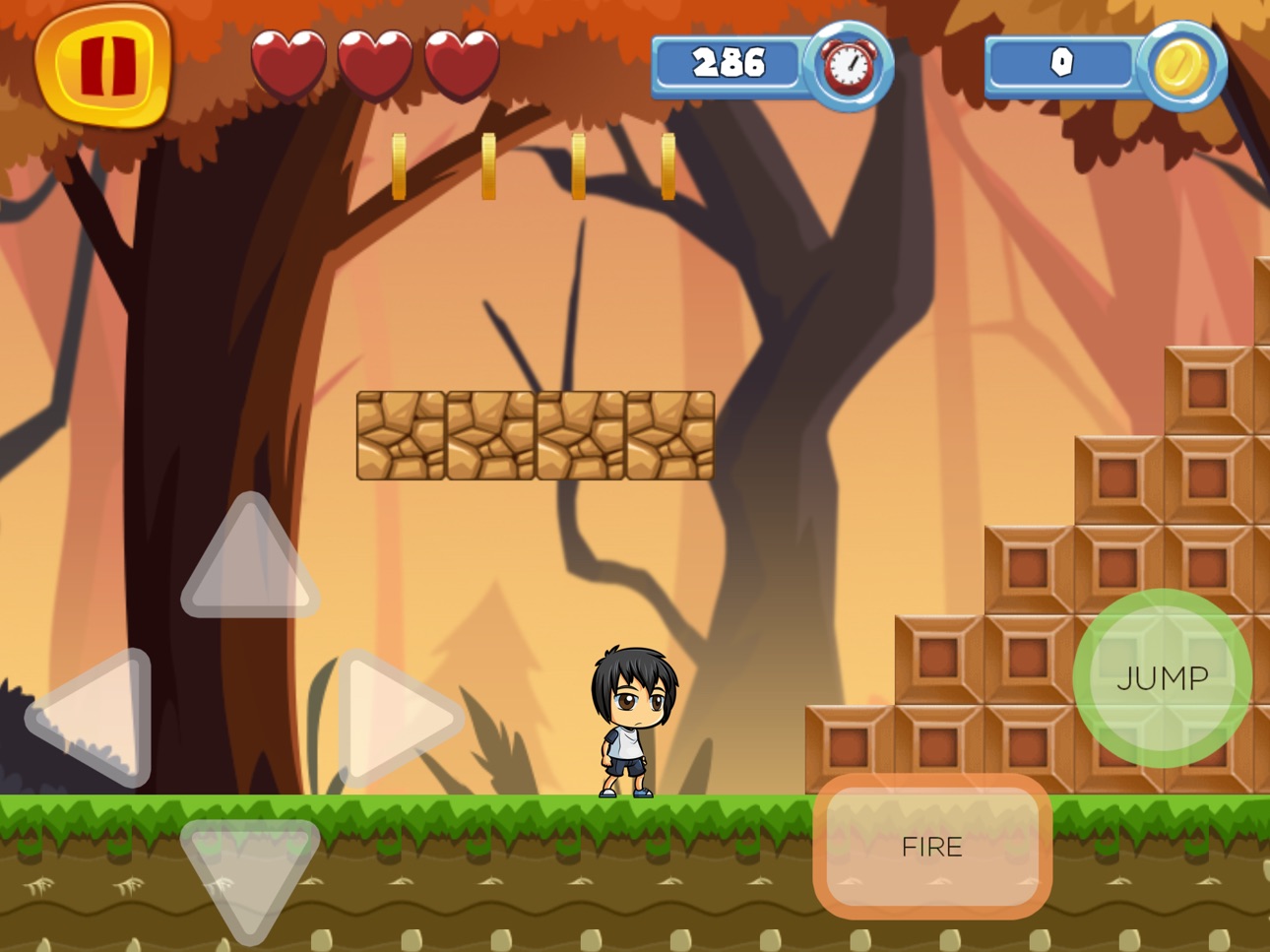 iPad screenshot