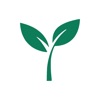 Money Tree Finance Manager icon