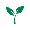 Money Tree Finance Manager - Matthew Rice
