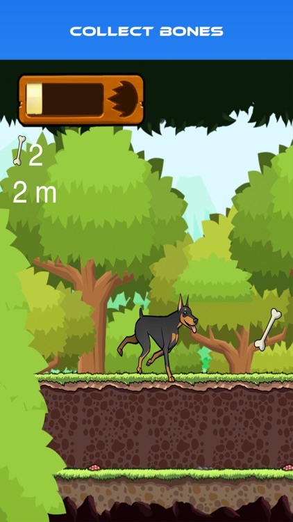 Doberman Runner