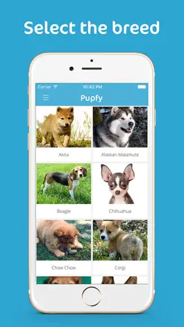 Game screenshot Pupfy - Find, Adopt & Rescue a Loyal Dog Companion mod apk