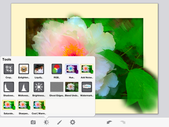 ‎PhotoViva - Paintings from your photos! Screenshot