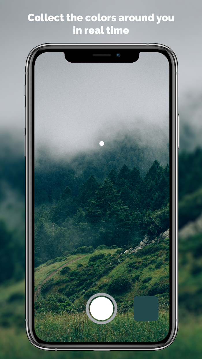 Loomy Live Color Picker