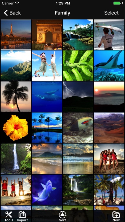 Photo Manager Pro