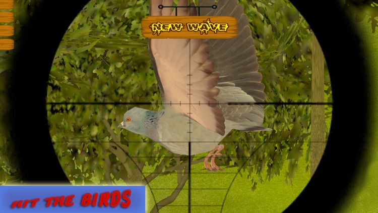 Boscage bird hunting: Wildlife sniper shooter