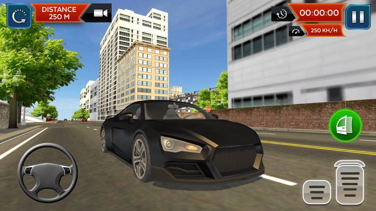 Real Car Driving School Sim 3D screenshot-8