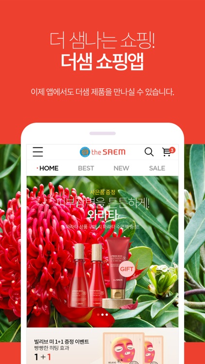 theSAEM
