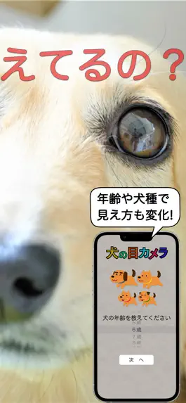 Game screenshot 犬の目カメラ apk