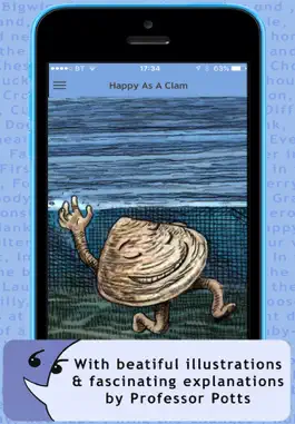 Game screenshot English Idioms Illustrated hack