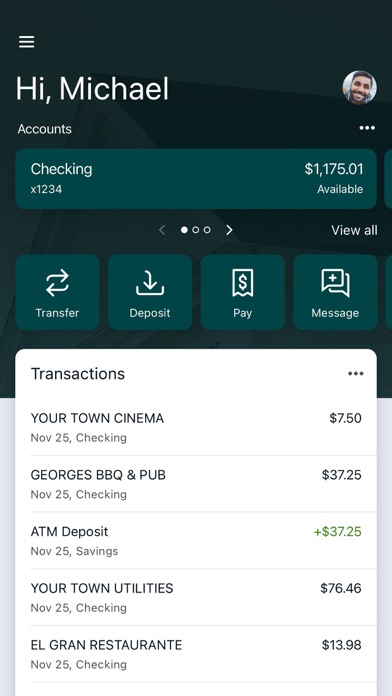 Thomasville National Bank Screenshot