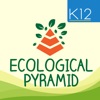 Ecological Pyramid icon