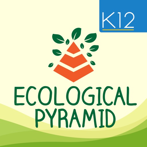 Ecological Pyramid