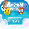 Animal Crush Adventure