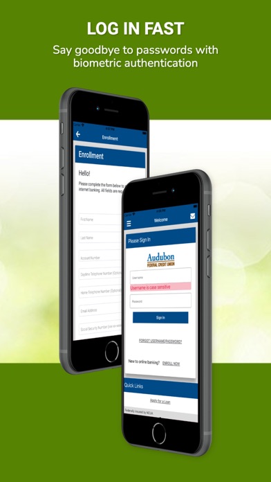 Audubon FCU Screenshot