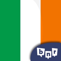 Learn Irish (Beginners) logo