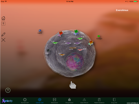 Everolimus screenshot 3