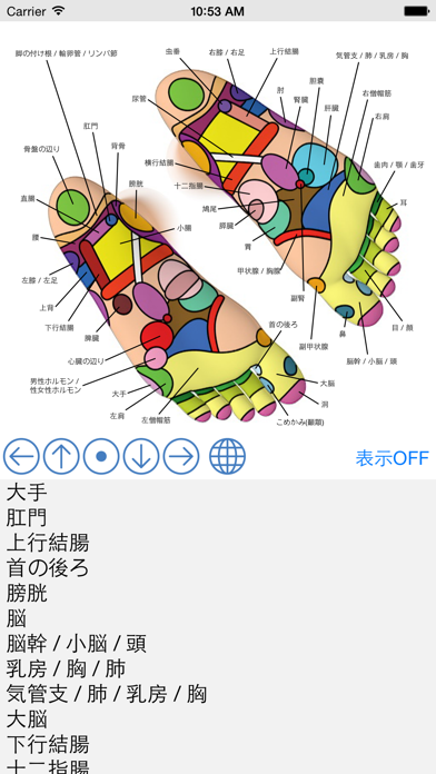 Foot Reflexology Chart Screenshot