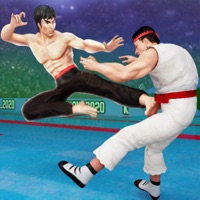 Contact Kung Fu Fight: Karate Fighter